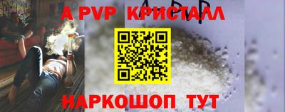 прущие крисы Пугачёв