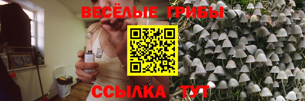 Псилоцибиновые грибы MAGIC MUSHROOMS Сызрань